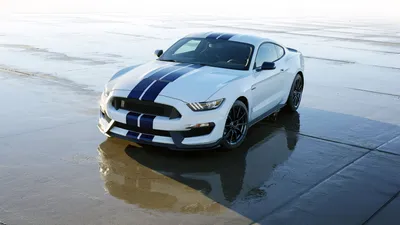 White Mustang Shelby Gt350 Cars Wallpaper 4K 1920x1080 White, Ford, Mustang, Shelby, Gt350, Muscle, Car, With, Blue, Racing, Stripes, Parked, Gray, Ultrawide, Full HD