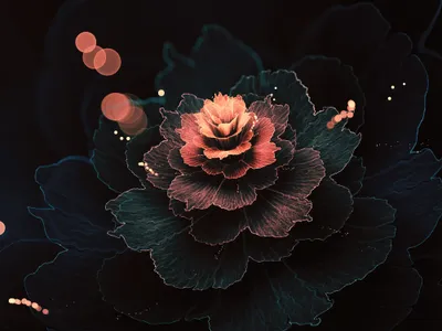 Abstract Fractal Design Black/Dark Wallpaper 4K 2000x1500 Abstract, Fractal, Design, Featuring, A, Glowing, Layered, Flower, Soft, Light, Orbs, Dark, Orange, Pink, Landscape, Full HD