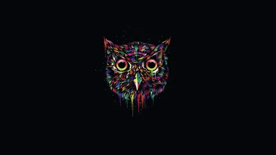 Vibrant Colorful Wallpaper Minimal Wallpaper 4K 1920x1080 Colorful, Minimalist, Artistic, Owl, Of, Vibrant, Dripping, Colors, Centered, Dark, Desktop, Brown, Ultrawide, Full HD