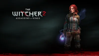 Definition Character Witcher Assassins Kings Black/Dark Wallpaper 4K 1920x1080 A, High-definition, Wallpaper, Featuring, Character, From, The, Witcher, Assassins, Kings), Showcasing, Her, Brown, Red, Ultrawide, Full HD