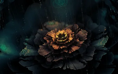 Bright Abstract Wallpaper Black/Dark Wallpaper 4K 1920x1200 Abstract, Fractal, Design, Featuring, Layered, Dark, Petals, With, Glowing, Golden, Accents, Creating, Brown, Ultrawide, Full HD