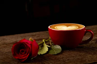 Vibrant Drink Wallpaper Nature Wallpaper 4K 5472x3648 Drink, Red, Flower, Still, Life, Cup, Rose, Food, Coffee, Desktop, Brown, Orange, White, Landscape, 4k