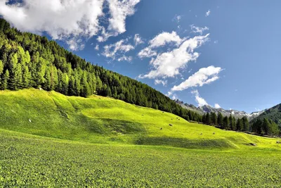 Sleek Nature Wallpaper Nature Wallpaper 4K 1920x1280 Nature, Landscape, Hd, Desktop, Wallpaper, Background, Image, Gray, White, Full HD