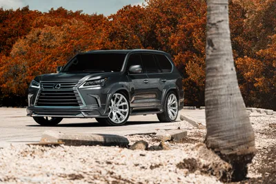 Sleek Lexus Suv Nature Wallpaper 4K 7314x4882 A, Sleek, Lexus, Lx, Suv, Parked, On, Sandy, Area, Vibrant, Autumn, Foliage, White, Landscape, 4k