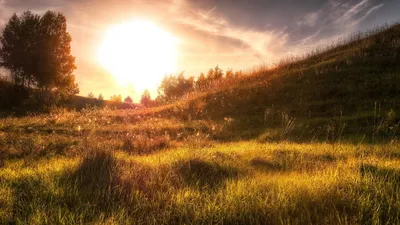 Golden Sunbeam Wallpaper Nature Wallpaper 4K 1920x1080 Hd, Desktop, Wallpaper, Of, A, Sunbeam, Casting, Warm, Light, Over, Grassy, Hillside, White, Ultrawide, Full HD