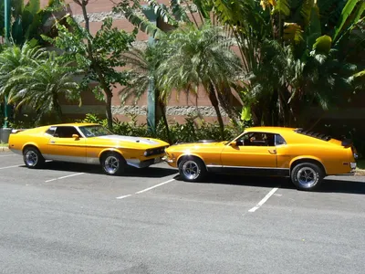 Two Yellow Mustang Mach Cars Wallpaper 4K 1600x1200 Two, Yellow, Ford, Mustang, Mach, 1, Cars, Parked, Side, Lot, Palm, Trees, Gray, Landscape