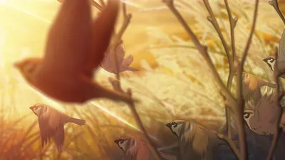 Your Name Anime Abstract Wallpaper 4K 1920x1080 Your, Name, Anime, Hd, Desktop, Wallpaper, Background, Gray, Pink, Ultrawide, Full HD