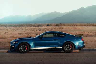 Blue Mustang Shelby Gt500 Nature Wallpaper 4K 7952x5304 A, Blue, Ford, Mustang, Shelby, Gt500, Muscle, Car, Parked, Desert, Road, Mountains, White, Landscape, 4k