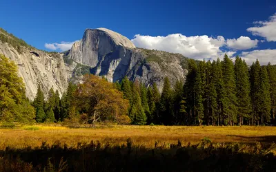Serene Vibrant Wallpaper Nature Wallpaper 4K 1920x1200 Hd, Pc, Desktop, Wallpaper, Showcasing, A, Vibrant, Nature, Landscape, Towering, Cliffs, Dense, Red, Brown, Ultrawide, Full HD
