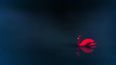 Golden Minimalist Wallpaper Minimal Wallpaper 4K 3840x2160 A, Minimalist, 4k, Ultra, Hd, Wallpaper:, Featuring, Striking, Red, Swan, Gracefully, Gliding, Brown, Ultrawide
