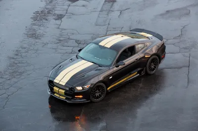 Radiant Black Wallpaper Cars Wallpaper 4K 4096x2731 Black, Ford, Mustang, Shelby, Gt, Muscle, Car, With, Gold, Racing, Stripes, Shown, Gray, Landscape, 4k