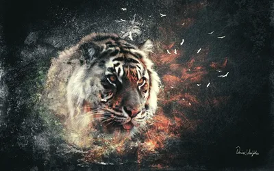 Vivid Majestic Wallpaper Animals Wallpaper 4K 1920x1200 A, Striking, Hd, Wallpaper, Featuring, Majestic, Tiger, Intense, Gaze, Surrounded, Dynamic, Splashes, Gray, Ultrawide, Full HD