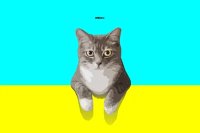 Minimalist Simple Cat Minimal Wallpaper 4K 3020x2014 Minimalist, Hd, Pc, Desktop, Wallpaper, Featuring, A, Simple, Cat, Illustration, Yellow, Cyan, Pink, White, Landscape, QHD