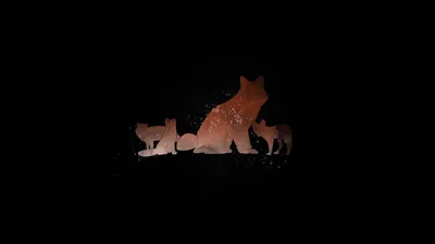 Minimalist Baby Animal Cub Animals Wallpaper 4K 1920x1080 Minimalist, Baby, Animal, Cub, Fox, Artistic, Hd, Desktop, Black, Ultrawide, Full HD