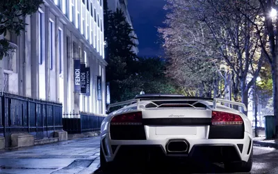 White Murcielago Quiet Cars Wallpaper 4K 2560x1600 Hd, Desktop, Wallpaper, Featuring, A, White, Lamborghini, Murcielago, Parked, Quiet, Tree-lined, City, Ultrawide, QHD