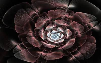 Vivid Abstract Wallpaper Black/Dark Wallpaper 4K 2560x1600 Abstract, Fractal, 2k, Quad, Hd, Pc, Desktop, Wallpaper, Layered, Translucent, Rose-pink, Petals, Brown, Gray, Ultrawide, QHD