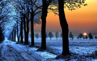 Serene Winter Landscape Nature Wallpaper 4K 1920x1200 A, Serene, Winter, Landscape, Featuring, Snow-covered, Path, Lined, Frosty, Trees, Illuminated, Warm, Orange, Black, Brown, Ultrawide, Full HD