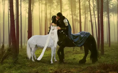 Fantasy Depicting Tender Fantasy Wallpaper 4K 2560x1600 A, Fantasy, Hd, Desktop, Wallpaper, Depicting, Tender, Moment, Between, White, Centaur, Woman, Gray, Ultrawide, QHD