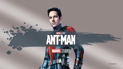Vivid Ant Wallpaper Abstract Wallpaper 4K 3840x2160 Ant-man, In, His, Red-and-black, Suit, Against, A, Brushed, Grey, Backdrop, Marvel, Studios, Gray, Ultrawide, 4k