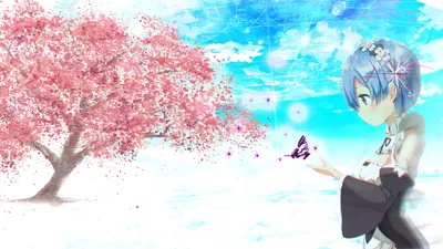 Bright Anime Wallpaper Animals Wallpaper 4K 1920x1080 Hd, Anime, Desktop, Wallpaper, Featuring, Rem, From, (re:zero), Zero, Vibrant, Sakura), Blossoms, White, Ultrawide, Full HD