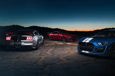 Vibrant Three Wallpaper Cars Wallpaper 4K 7943x5298 Three, Ford, Mustang, Muscle, Cars, A, Silver, Shelby, Gt500, Blue, Red, Gray, Brown, Landscape, 4k
