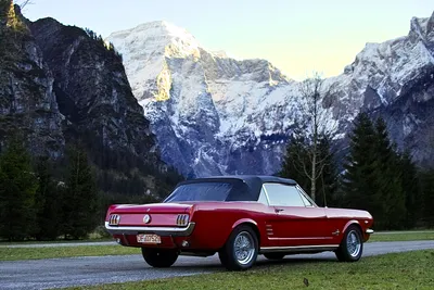 Vehicle Mustang Cars Cars Wallpaper 4K 1512x1008 Vehicle, Ford, Mustang, Hd, Desktop, Wallpaper, Background, White, Landscape