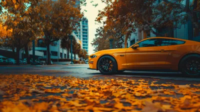 Golden Orange Wallpaper World Wallpaper 4K 2912x1632 Orange, Ford, Mustang, Hd, Wallpaper, With, A, Background, Autumn, Leaves, City, Street, White, Ultrawide, QHD