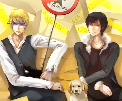 Vibrant Dog Wallpaper Animals Wallpaper 4K 1920x1600 Dog, Shizuo, Heiwajima, Izaya, Orihara, Anime, Durarara!!, Hd, Desktop, White, Gray, Square, Full HD