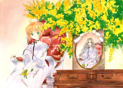 Sakura Kinomoto Cardcaptor White Abstract Wallpaper 4K 4493x3200 Sakura), Kinomoto, From, Cardcaptor, In, A, White, Dress, Sits, Red, Armchair, Beneath, Landscape, 4k