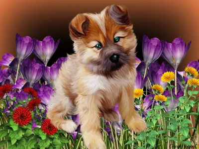 Terrier Puppy Among Abstract Wallpaper 4K 1333x1000 Hd, Desktop, Wallpaper, Featuring, A, Terrier, Puppy, Among, Vibrant, Purple, Yellow, Flowers, Brown, Gray, Landscape