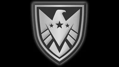 Golden Sleek Wallpaper Black/Dark Wallpaper 4K 1920x1080 A, Sleek, Black, And, Silver, Logo, Featuring, An, Eagle, Shield, Inspired, Serves, White, Gray, Ultrawide, Full HD