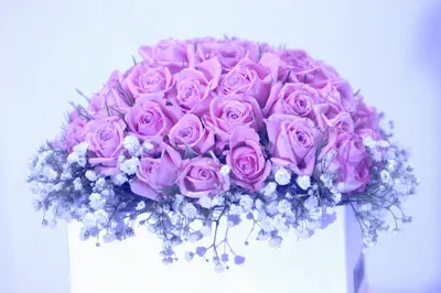 Pink Rose Bouquet Nature Wallpaper 4K 2560x1706 Pink, Rose, Bouquet, Box, Man, Made, Flower, Desktop, White, Ultrawide, QHD