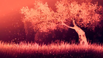 Dreamy Artistic Wallpaper Nature Wallpaper 4K 1920x1080 Hd, Pc, Desktop, Wallpaper, Featuring, An, Artistic, Red, Tree, Glowing, Softly, Against, Orange, Ultrawide, Full HD