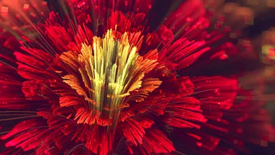 Sleek Vibrant Wallpaper Nature Wallpaper 4K 1920x1080 Vibrant, Red, Fractal, Flower, With, Glowing, Yellow, Center, Rendered, High, Definition, Abstract, Brown, Ultrawide, Full HD