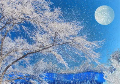 Radiant Artistic Wallpaper Nature Wallpaper 4K 2700x1912 Artistic, Hd, Landscape, Wallpaper, Showing, Frosty, White, Tree, Branches, Against, Bright, Blue, Gray, QHD