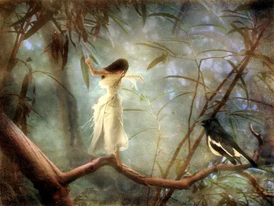 Calm Mystical Wallpaper Animals Wallpaper 4K 1600x1201 A, Mystical, Scene, Featuring, Woman, In, Flowing, White, Dress, Dancing, Branch, Accompanied, Gray, Landscape