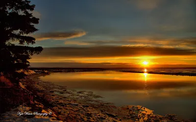 Serene Sunset Calm Waters Nature Wallpaper 4K 1920x1200 A, Serene, Sunset, Over, Calm, Waters, Reflecting, Warm, Golden, Hues, Framed, Trees, Brown, Ultrawide, Full HD