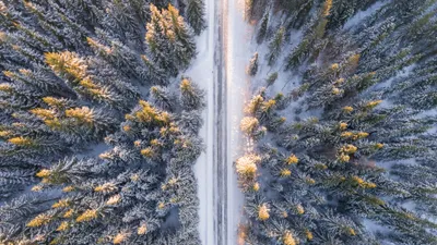 Bold Aerial Wallpaper Nature Wallpaper 4K 3840x2160 Aerial, View, Of, A, Snow-covered, Forest, With, Tall, Trees, Bathed, Soft, Winter, White, Gray, Ultrawide, 4k