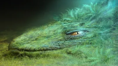 Bold Vibrant Wallpaper Fantasy Wallpaper 4K 1920x1080 A, Vibrant, Fantasy, Dragons, Head, Emerges, From, Dragon, Lush, Green, Blending, Ferns, Gray, Brown, Ultrawide, Full HD