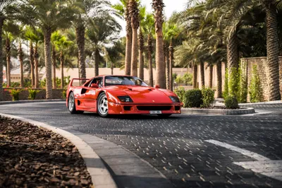 Red F40 Supercar Cars Wallpaper 4K 2048x1367 Red, Ferrari, F40, Supercar, Parked, On, A, Palm-lined, Cobblestone, Street, Captured, High-definition, White, Gray, Landscape, Full HD