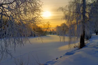 Serene Winter Landscape Nature Wallpaper 4K 2000x1332 A, Serene, Winter, Landscape, With, Frosty, Trees, And, Tranquil, Frozen, Pond, Illuminated, Gray, Ultrawide, Full HD