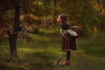 Misty Mood Wallpaper Nature Wallpaper 4K 2560x1707 Mood, Chipmunk, Oak, Tree, Photography, Child, Hd, Desktop, Brown, Purple, Landscape, QHD