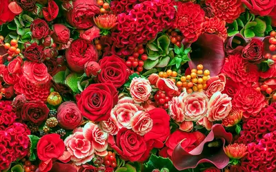 Dark Vibrant Wallpaper Nature Wallpaper 4K 2880x1800 A, Vibrant, Display, Of, Red, Flowers, Including, Calla, Lilies, Begonias, Dahlias, Roses, Ultrawide, QHD