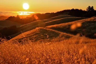 Golden Sunset Wallpaper Nature Wallpaper 4K 1920x1280 A, Stunning, Sunset, Over, Rolling, Hills, Bathed, In, Warm, Golden, Light, Tall, Red, Brown, Landscape, Full HD