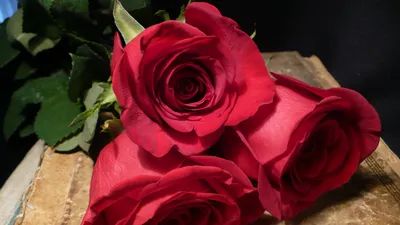 Arrangement Three Red Nature Wallpaper 4K 1920x1080 A, Beautiful, Arrangement, Of, Three, Red, Roses, On, Rustic, Showcasing, Vibrant, Petals, Brown, Ultrawide, Full HD