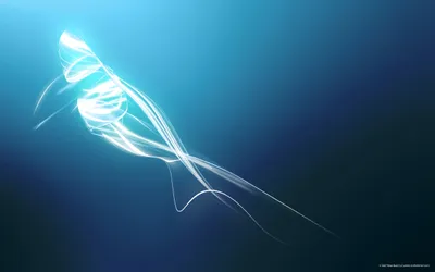 Moody Abstract Wallpaper Abstract Wallpaper 4K 2560x1600 Abstract, Cgi, Whale, In, Vibrant, Blue, Tones, Featuring, Intricate, Textures, Flowing, Shapes, Brown, Pink, Ultrawide, QHD