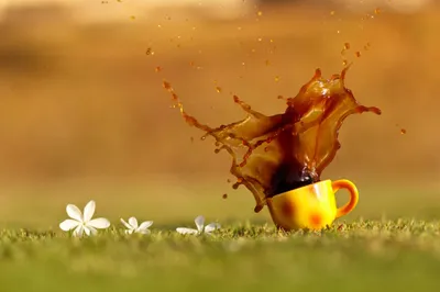 Yellow Coffee Cup Nature Wallpaper 4K 2048x1365 Hd, Pc, Desktop, Wallpaper, Featuring, A, Yellow, Coffee, Cup, Splashing, Grass, Surrounded, Orange, Ultrawide, Full HD