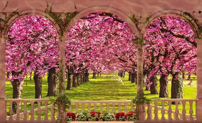 Calm Vibrant Wallpaper Nature Wallpaper 4K 1600x976 A, Vibrant, View, From, Gazebo, Framed, By, Blooming, Pink, Trees, Spring, Scene, Brown, Gray, Ultrawide