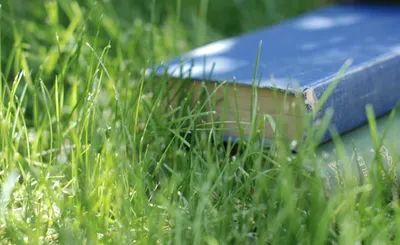 Close Blue Book Abstract Wallpaper 4K 2000x1225 Close-up, Hd, Desktop, Wallpaper, Of, A, Blue, Book, Resting, Green, Grass, Highlighting, Pink, Gray, Ultrawide, Full HD