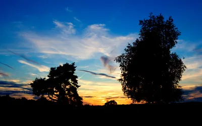 Radiant Serene Wallpaper Nature Wallpaper 4K 1920x1200 A, Serene, Sunset, Backdrop, Featuring, Silhouetted, Trees, Against, Vibrant, Sky, Creating, Tranquil, Red, Ultrawide, Full HD